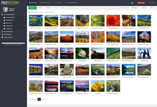 File Manager